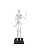  Skeleton 85 cm Buki