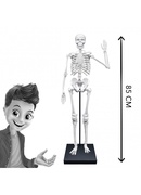  Skeleton 85 cm Buki Hover