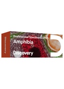  Discovery Prof paraugi DPS 5. “Amphibia”