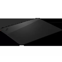  Lenovo Professional ThinkPad Professional 13 Sleeve Black