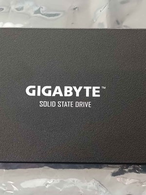  SALE OUT. Gigabyte | GP-GSTFS31480GNTD | 480 GB | SSD interface SATA | REFURBISHED  Hover