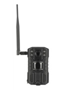 Redleaf trail camera RD6300 LTE
