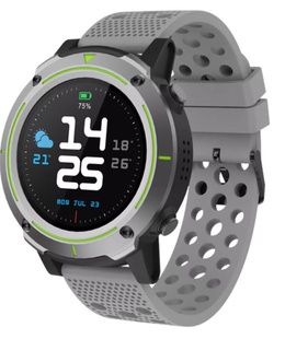 Viedpulksteni Denver SW-510 grey+grey strap  Hover