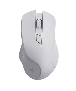 Pele Sbox WM-308 White  Hover
