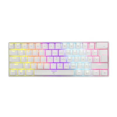 Tastatūra White Shark GK-2022 Shinobi  Blue switch, White US