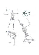 Konstruktors Skelets 45 cm, Buki Hover