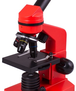  Mikroskops Levenhuk Rainbow 2L Oranžā Krāsā 40x-400x ar eksperimenta komplektu K50  Hover