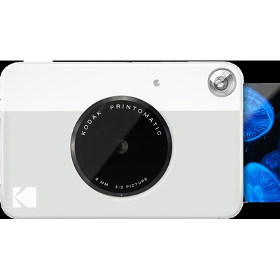  Kodak Printomatic Grey