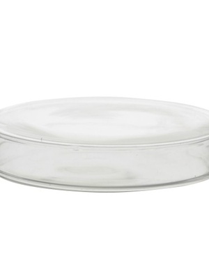  Stikla Petri trauciņš (nātrija-kaļķi) d.100 mm/20 mm  Hover