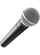 Austiņas Shure Vocal Microphone SM58-LCE