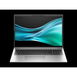  HP EliteBook 865 G11 | 16  | WUXGA | 8540U | 16 GB | SSD | 512 GB | AMD Radeon 740M Graphics | Windows 11 Pro | Keyboard language US