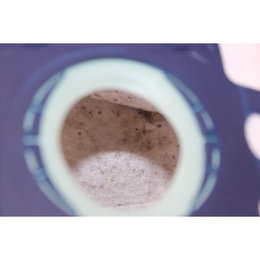  SALE OUT. Philips XD5123/10 Series 5000 Vacuum Cleaner with bag