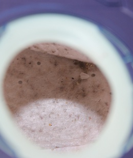  SALE OUT. Philips XD5123/10 Series 5000 Vacuum Cleaner with bag  Hover