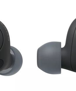 Austiņas Sony WF-C700N Truly Wireless ANC Earbuds  Hover