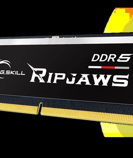  G.Skill 16 GB | DDR5 | 5600 MHz | PC/server | Registered No | ECC No  Hover