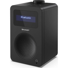  Sharp DR-430(BK) Digital Radio