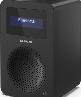 Sharp DR-430(BK) Digital Radio  Hover