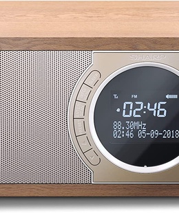  Sharp DR-450(BR) Digital Radio  Hover