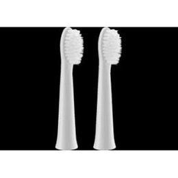 Birste Panasonic | WEW0972W503 | Brush Head | Heads | For adults | Number of brush heads included 2 | Number of teeth brushing modes Does not apply | White
