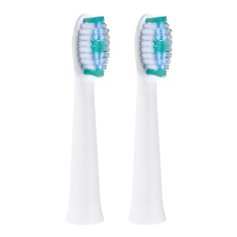 Birste Panasonic | WEW0974W503 | Toothbrush replacement | Heads | For adults | Number of brush heads included 2 | Number of teeth brushing modes Does not apply | White