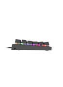 Tastatūra Genesis THOR 303 Mechanical Gaming Keyboard RGB LED light US Wired USB Type-A 1152 g Outemu Red Hover