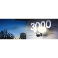 9085817
