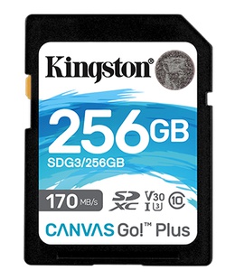  Kingston Canvas Go! Plus 256 GB  Hover