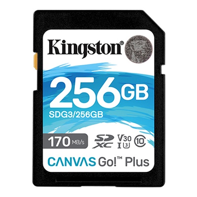  Kingston Canvas Go! Plus 256 GB