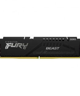  Kingston | 16 GB | DDR5 | 5200 MHz | PC/server | Registered No | ECC No  Hover