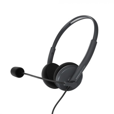 Austiņas Energy Sistem Headset Office 2 Anthracite