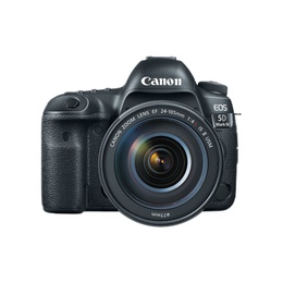  Canon SLR Camera Body Megapixel 30.4 MP ISO 32000(expandable to 102400) Display diagonal 3.2  Wi-Fi Video recording TTL Frame rate 29.97 fps CMOS Black