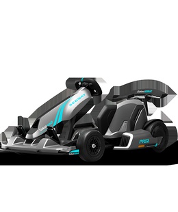  Segway GoKart Pro 2 | 43 km/h  Hover