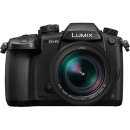  Panasonic Lumix DC-GH5 + 12-60mm f/2.8-4.0 Kit