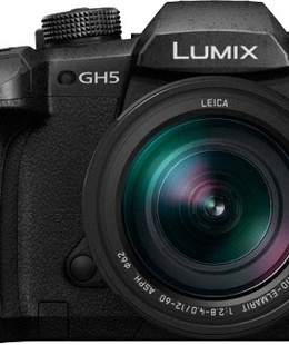  Panasonic Lumix DC-GH5 + 12-60mm f/2.8-4.0 Kit  Hover