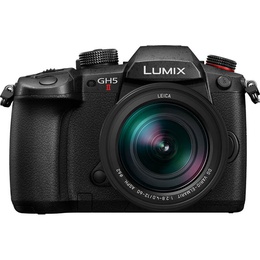  Panasonic Lumix DC-GH5 II + 12-60mm f/2.8-4.0 Kit