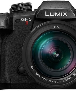  Panasonic Lumix DC-GH5 II + 12-60mm f/2.8-4.0 Kit  Hover