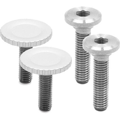  Peak Design Bolt Pack, silver