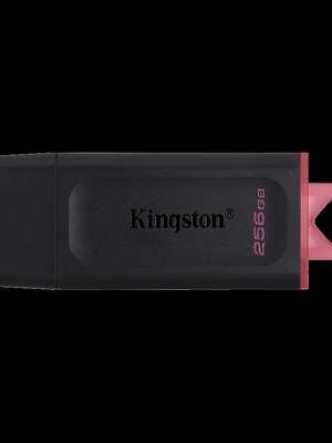  KINGSTON DTXS/256GB  Hover