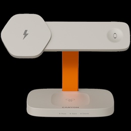  CANYON CNS-WCS310LGOR