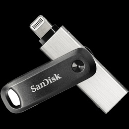  SANDISK SDIX60N-256G-GN6NE