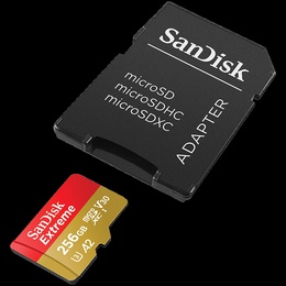  SANDISK SDSQXAV-256G-GN6MA