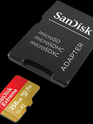  SANDISK SDSQXAV-256G-GN6MA  Hover