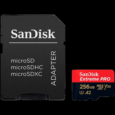  SANDISK SDSQXCD-256G-GN6MA