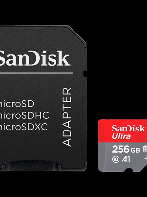  SANDISK SDSQUAC-256G-GN6MA  Hover