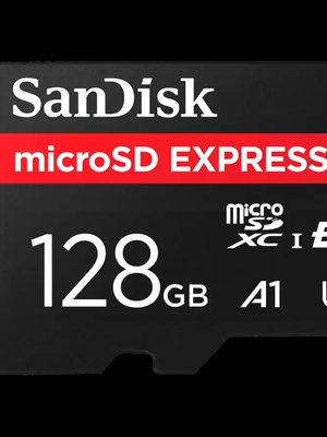  SANDISK SDSQXFN-256G-GN4NN  Hover