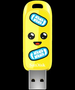  SANDISK SDCZIF-256G-G46  Hover