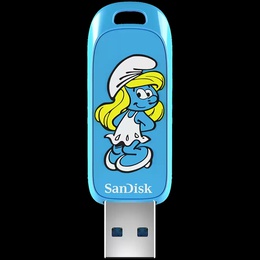  SANDISK SDCZIS-256G-G46