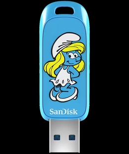  SANDISK SDCZIS-256G-G46  Hover