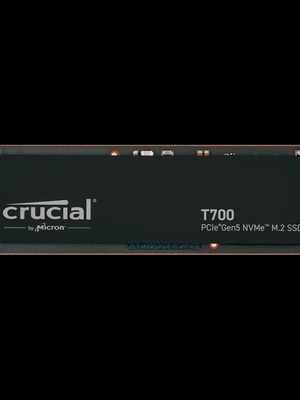  CRUCIAL CT1000T700SSD3  Hover