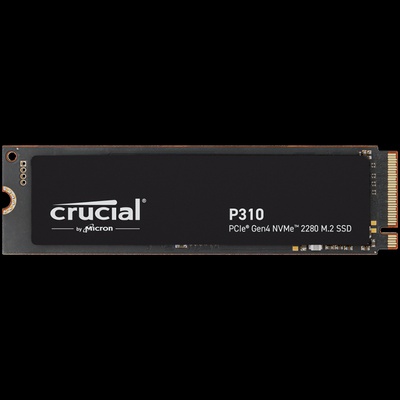  CRUCIAL CT1000P310SSD8